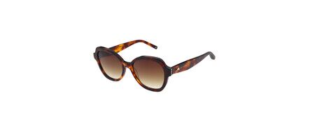 Index Ted Baker Herrenbrille classic aus Acetat/Kunststoff