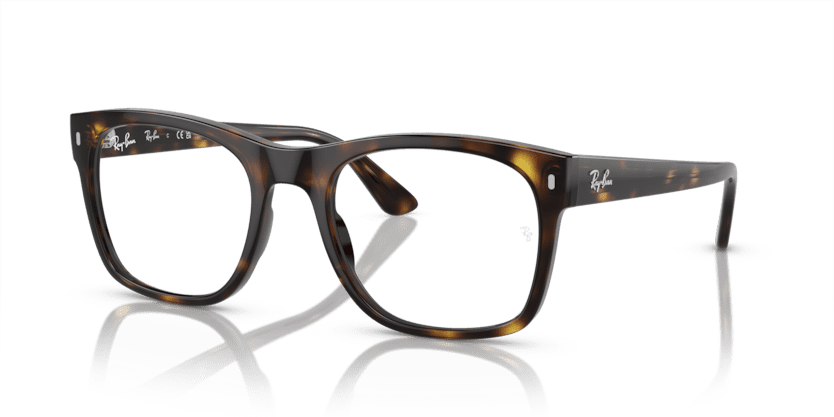Ray Ban 0RX7228 2012 55-21
