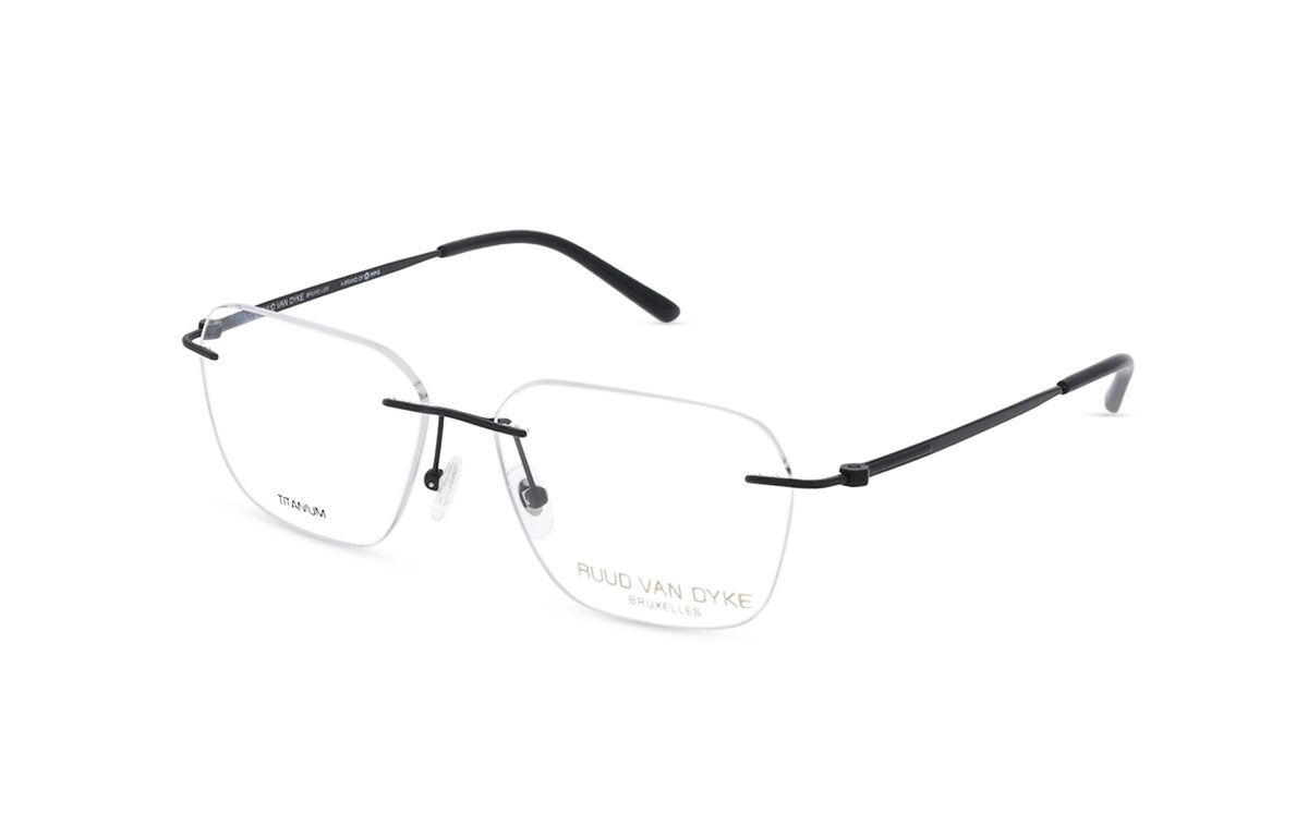 Ruud van Dyke 1566T-1