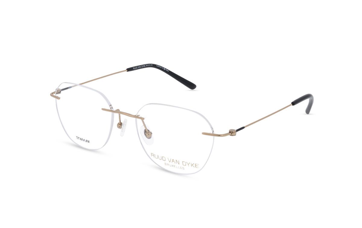 Ruud van Dyke 1604T-1